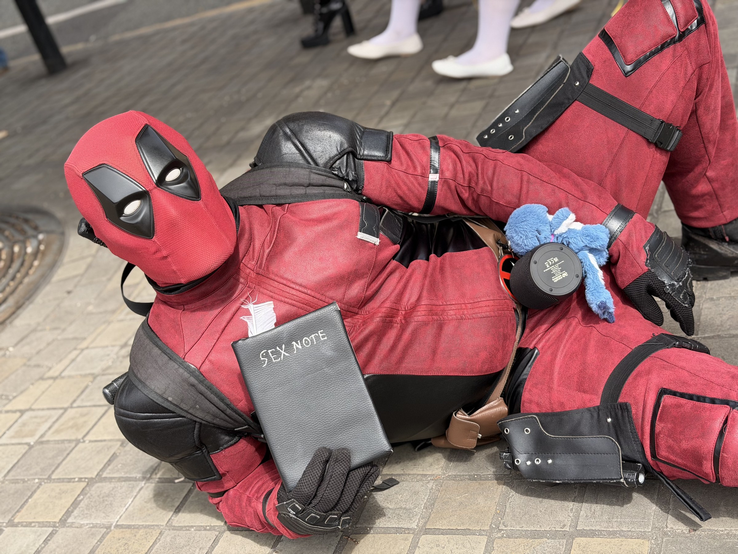Photo Gallery #87
